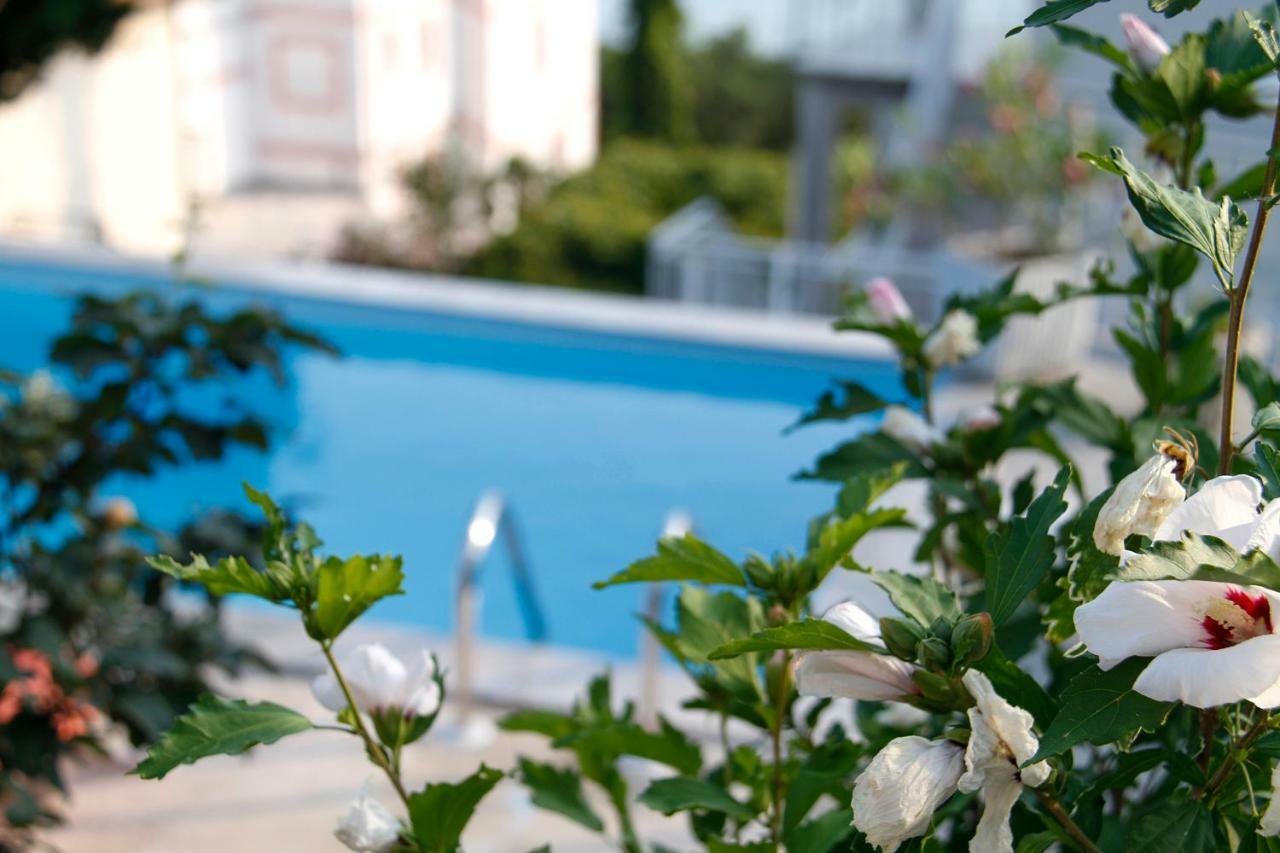 Marija With Pool & Garden & Amazing Sea View Villa